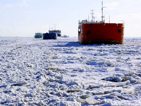 Information on Icebreaker Support in the Seaports of Russia as of February 20, 2017