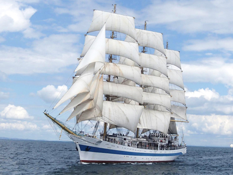 Mir Sailing Ship Completed the Second Stage of the Tall Ships Races 2016 in the seaport of Cadiz