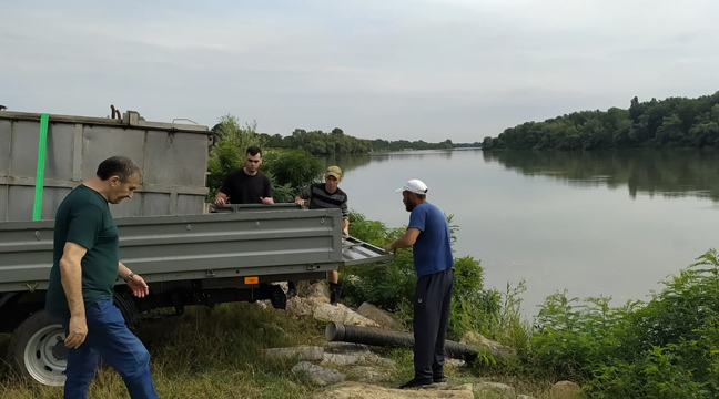 Azovo-Chernomorsky Basin Branch organizes the release of juvenile Russian sturgeon into the Kuban River