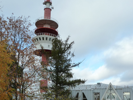 Accident Prevented in St. Petersburg Coastal VTS Area 