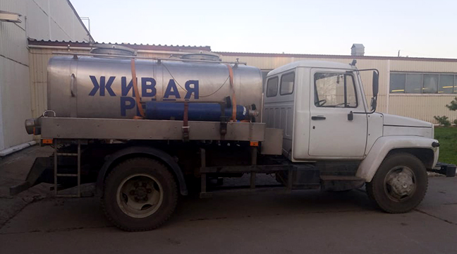 Young Atlantic salmon released to Neva River