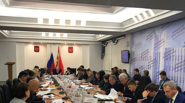 Director of the Azov Basin Branch takes part in a session of the Basin Council of the Don Basin District