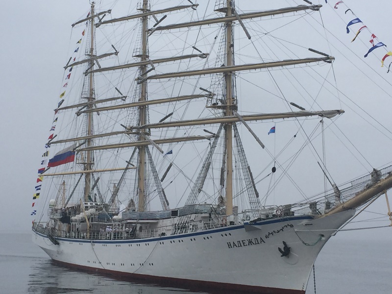 Фрегат паллада владивосток. Документы про кругосветное плавания фрегата «паллада». Фрегат паллада владивосток. В японию под парусом паллады. Паллада 88203.