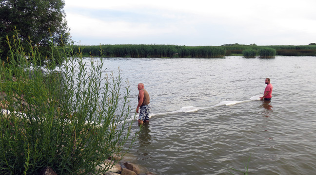 North-Western Basin Branch organizes the release of whitefish juveniles into the Curonian Lagoon of the Baltic Sea